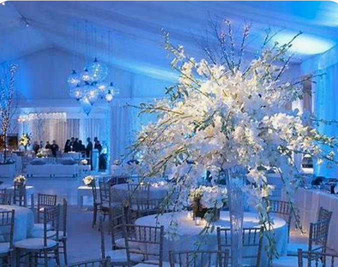 Event planning - Houston Party Rental Services